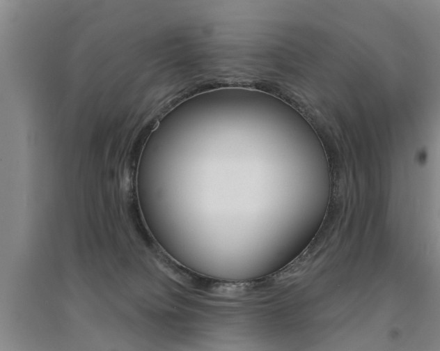 X0000094460084200711081108