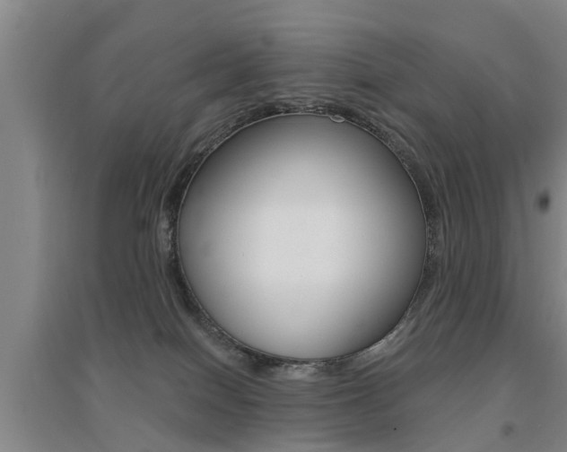 X0000094460086200711081108