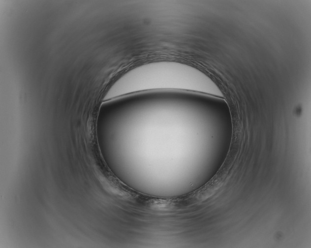 X0000094460088200711081108