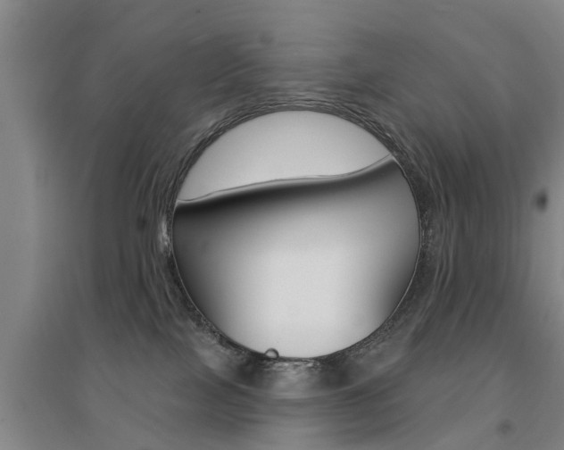 X0000094460089200711081108