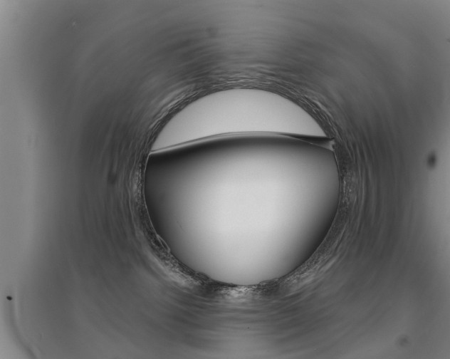 X0000094460092200711081109