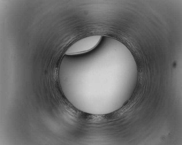 X0000094460093200711081109