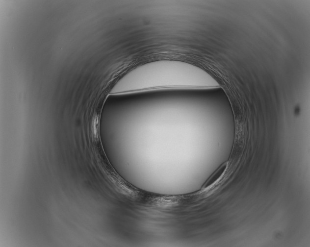 X0000094460094200711081109