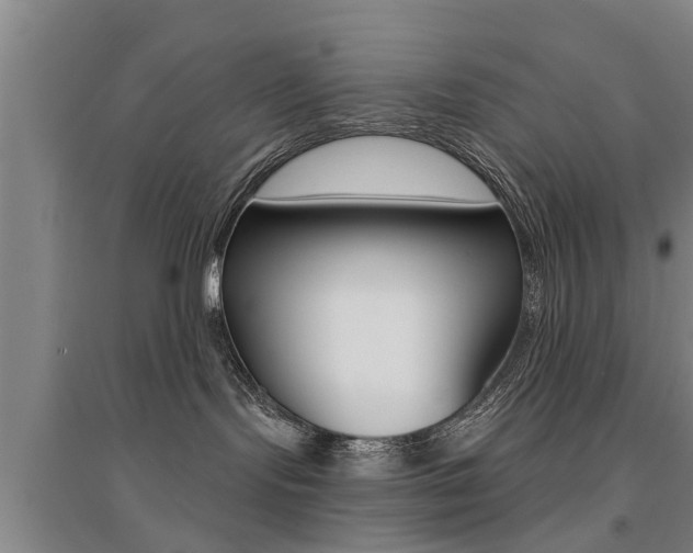 X0000094460095200711081109