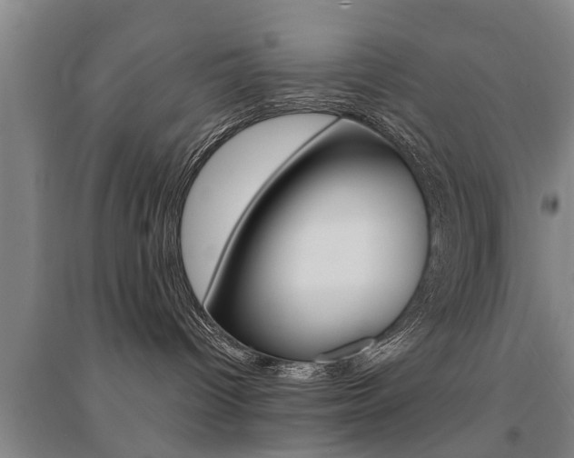 X0000094460096200711081109