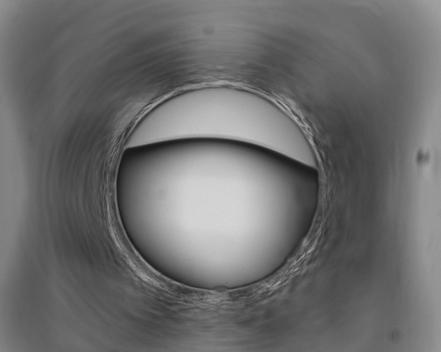 X0000094460097200711081108