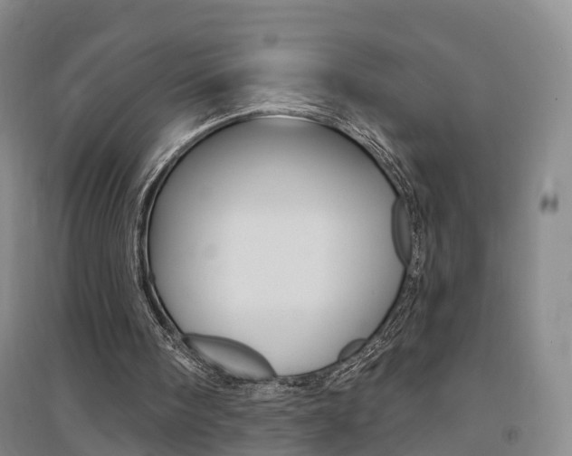 X0000094460098200711081108