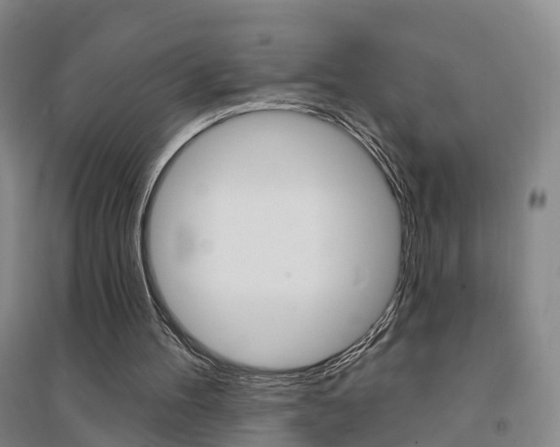 X0000094460100200711081108