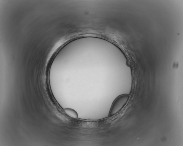 X0000094460102200711081108