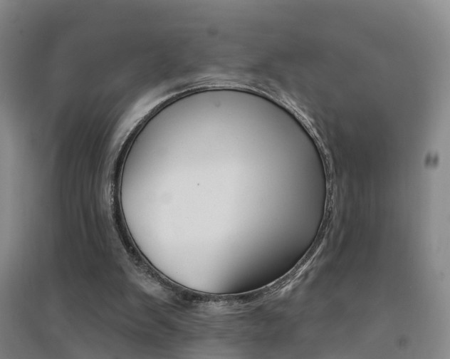 X0000094460103200711081108