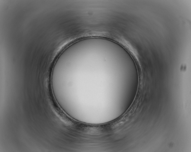 X0000094460107200711081108
