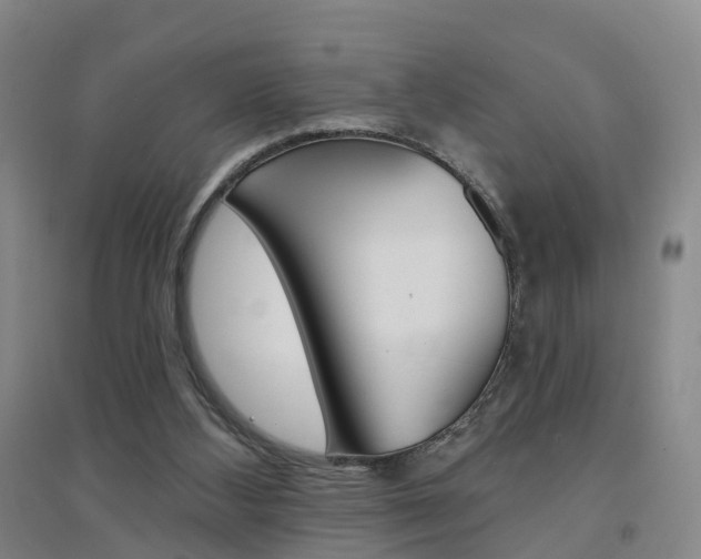 X0000094460108200711081108