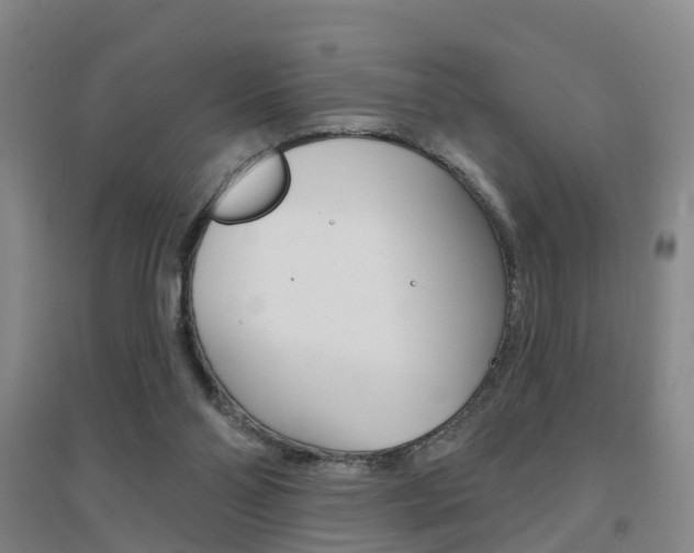 X0000094460110200711081108