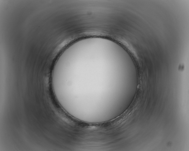 X0000094460111200711081108