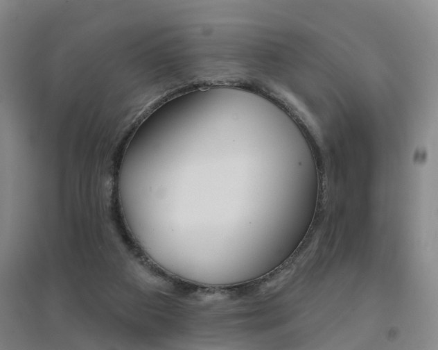 X0000094460113200711081108