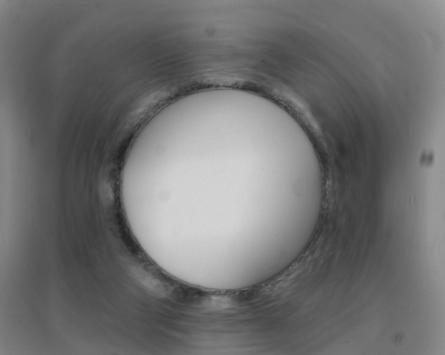 X0000094460114200711081108