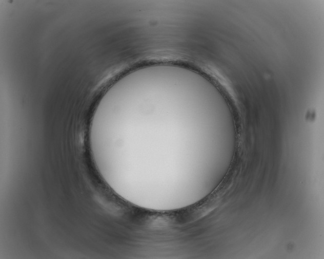 X0000094460115200711081108