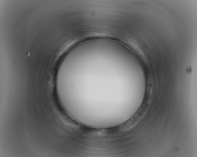 X0000094460116200711081108