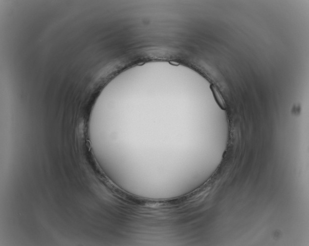 X0000094460117200711081108