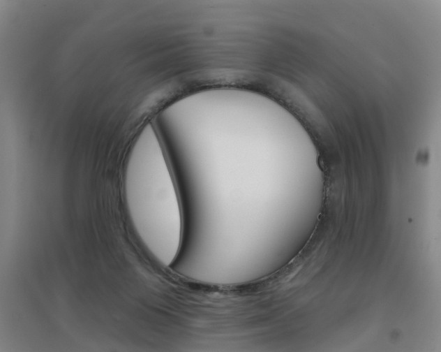 X0000094460119200711081108