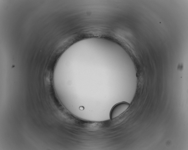 X0000094460122200711081108