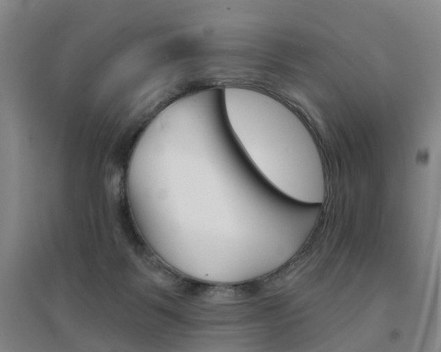 X0000094460123200711081108