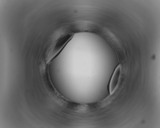 X0000094460124200711081108