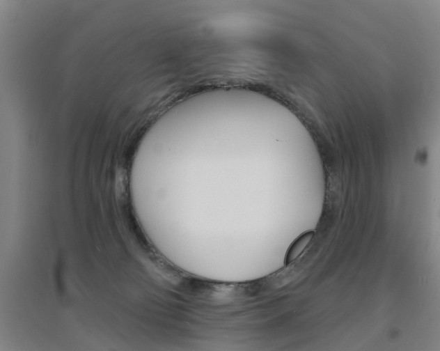 X0000094460130200711081107