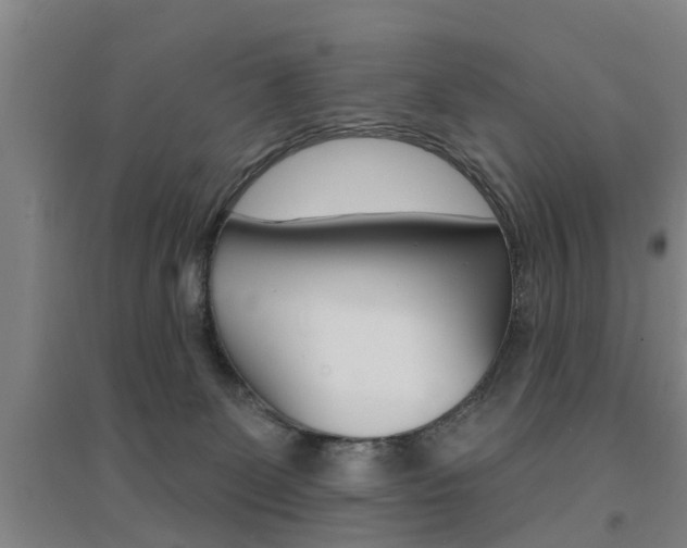 X0000094460131200711081107