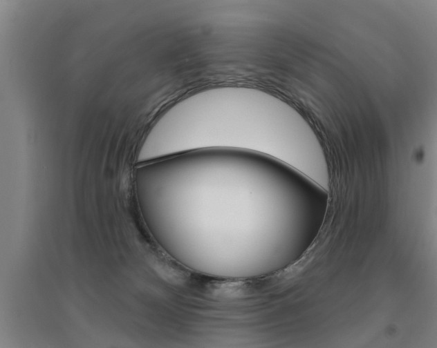 X0000094460132200711081107