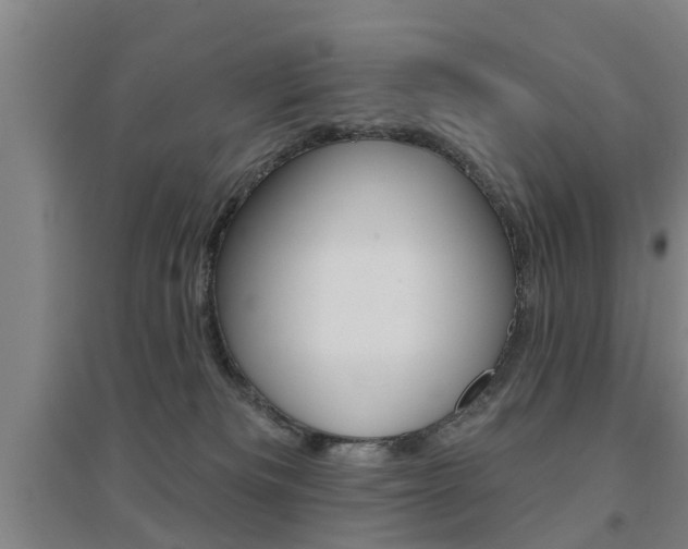 X0000094460133200711081107