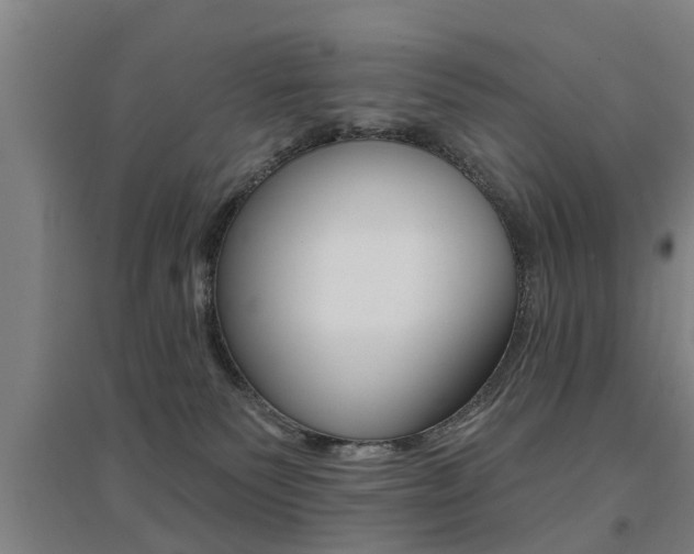 X0000094460135200711081107