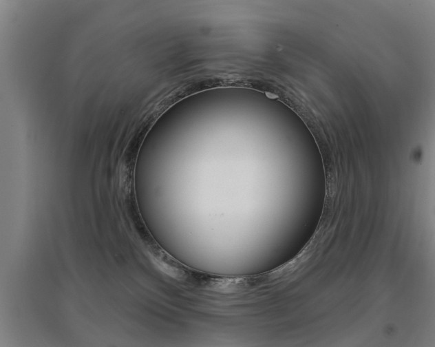 X0000094460136200711081107
