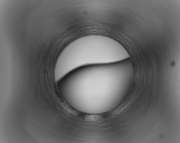 X0000094460137200711081107