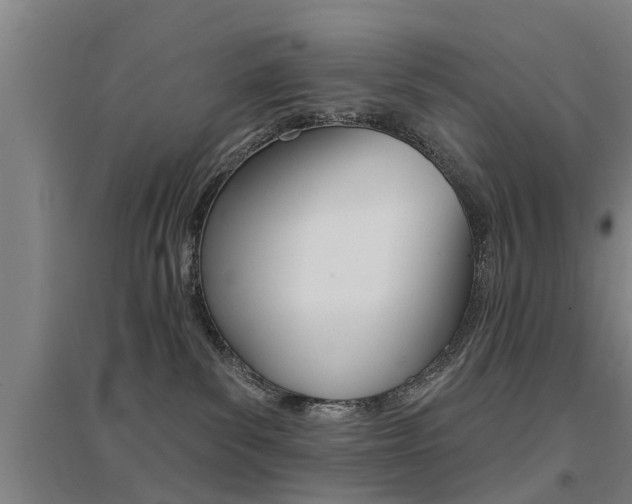 X0000094460139200711081107