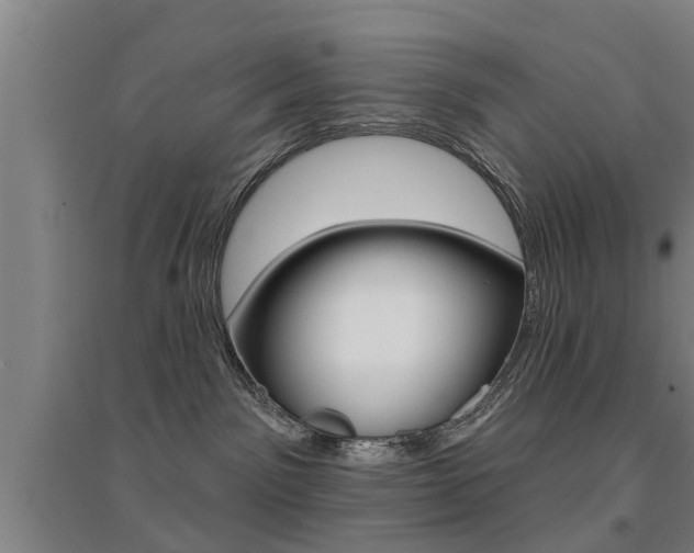 X0000094460141200711081107