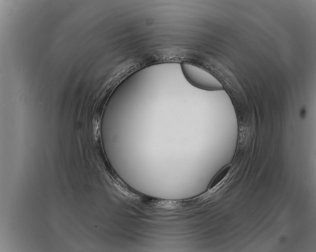 X0000094460142200711081107