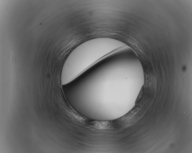 X0000094460143200711081107