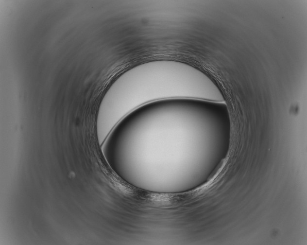 X0000094460144200711081107
