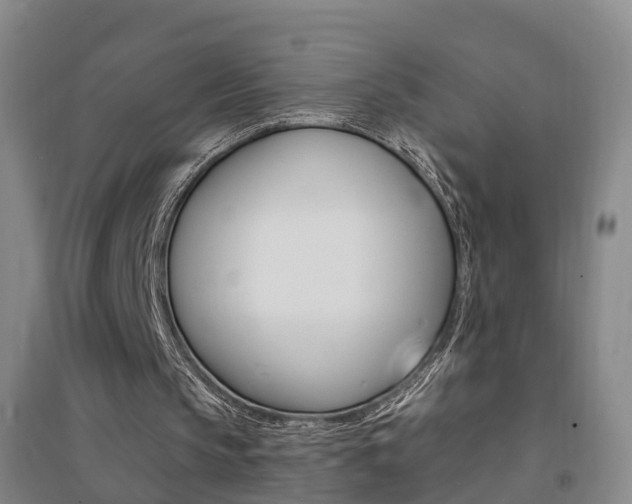 X0000094460145200711081107