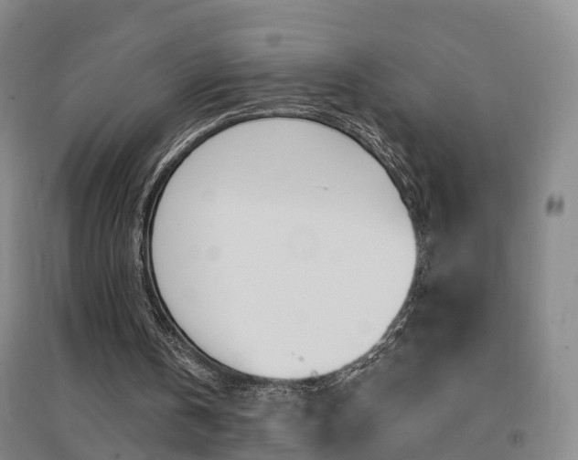 X0000094460146200711081107