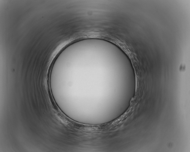 X0000094460147200711081107