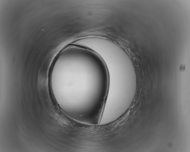 X0000094460148200711081107