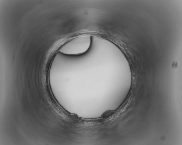X0000094460149200711081107