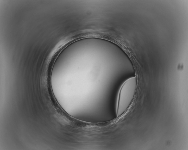 X0000094460150200711081107