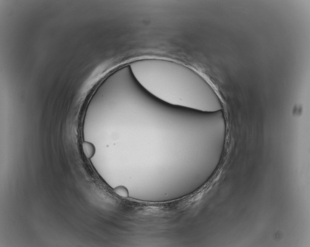X0000094460151200711081107