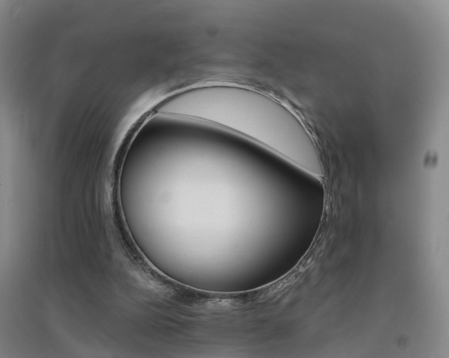 X0000094460152200711081107