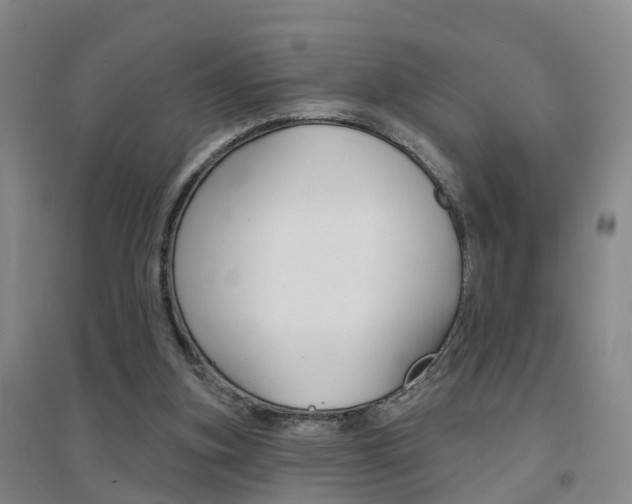 X0000094460155200711081107