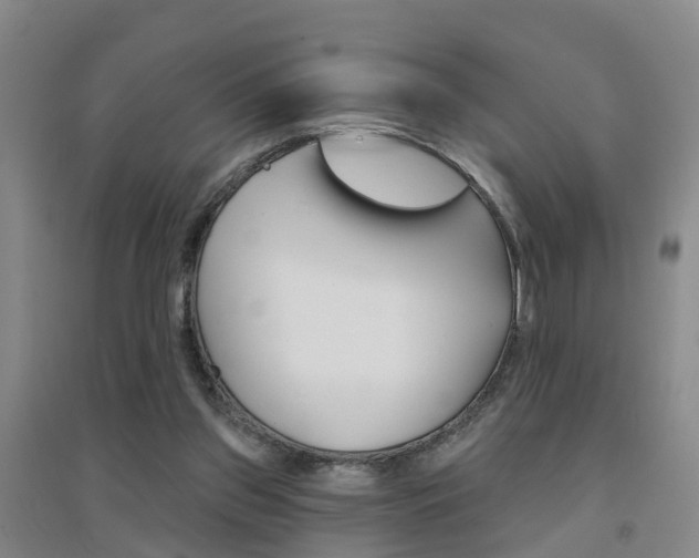 X0000094460157200711081107