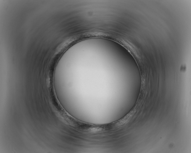 X0000094460158200711081107